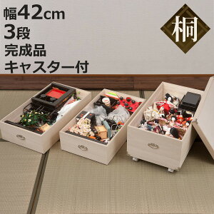  ЂȐl`P[X 42cm 3i LX^[t { i i [P[X l` VR  ؔ [ Ƌ ˔ l ܌l` i ۊ ۑ  h Vv LX^[ j