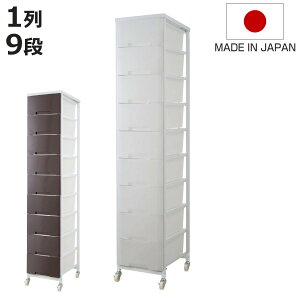 ߑP[X ʎ[vX`bN`FXg 9i i 36×s48×181cm [{bNX o nC^Cv [P[X `FXg ^X ߗގ[ e LX^[t rO[ N