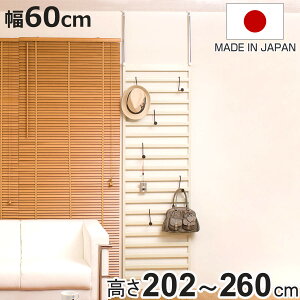 ˂ _[bN 60cm N[ X`[ { i ˂胉bN ς胉bN ς bN ǖʎ[ 60 ˂[ EH[bN ǖʃbN tbNt ˂莮