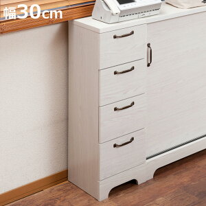 JE^[[ `FXg 30cm 4i k o i JE^[[ o Ђ  k [I TCh{[h Lrlbg  zCg  jy3980~ȏ㑗z