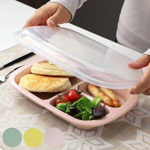 &NE ランチプレート フタ付き 26cm Rakura プラスチック 日本製 ( 食洗機対応 レンジ対応 フタ付きランチプレート 角型 薄型 仕切り付き 蓋付き 作り置き 仕切り皿 お皿 時間差ごはん 重ねられ