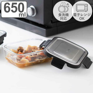 &NE nikii 保存容器 650ml 耐熱ガラス保存容器 ステンレス蓋 M ( 耐熱ガラス ガラス 密閉 保存 容器 ガラス容器 密閉容器 耐熱容器 キャニスター 食品保存 食洗機対応 電子レンジ対応 オーブン