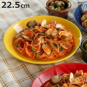 M t@Xg M i dqWΉ H@Ή   { M v[g 22.5cm  킢 J[M pX^M J[ pX^ X^bLO ςݏd rrbhJ[ jy3