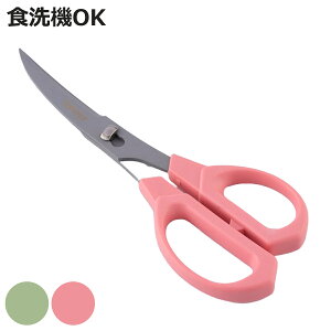 Lb`΂ CURVEST J[un  { i Lb`͂ Lb`oT~ Lb` XeX Y 􂦂 ΂ \΂ ͂  nT~  Lb`c[ 