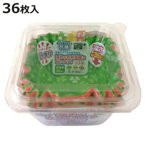 Jbv [߂̂P[X lp 36 i ٓJbv 36 WΉ  ٓ q { WOK ׂƂJbv Jbv ٓp qp ct ۈ牀 