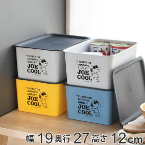 [{bNX S 19×s27×12cm Xk[s[ RNgBOX t^t i [P[X [ vX`bN [ { P[X ςݏd   P[X {bNX ӂt 