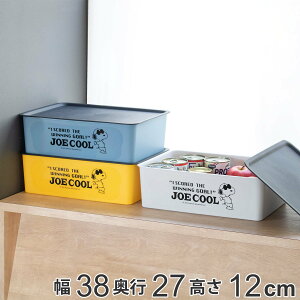 [{bNX M 38×s27×12cm Xk[s[ RNgBOX t^t i [P[X [ vX`bN [ { P[X ςݏd   P[X {bNX ӂt 