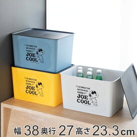 収納ボックス L 幅38×奥行27×高さ24cm スヌーピー コレクトBOX フタ付き （ 収納ケース 収納 プラスチック 小物収納 日本製 小物ケース 積み重ね 小物入れ 小物 ケース ボックス ふた付き おしゃれ キャラクター インナーボックス ） 【3980円以上送料無料】