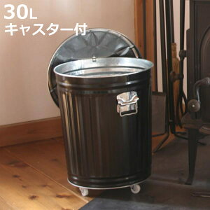 DoPc 30L d D ӂt LX^[t gF S~ obaketsu IoPc i oPc D d D t^t DoPc ybg Wt dXg[u  d [ t