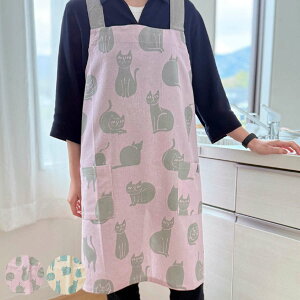 Gv ׂĂ낤 lR 100 |Pbgt @ i Lb`Gv 䏊Gv obNNX t[NX ˂ ې ăGv Ԃ邾 | lp 