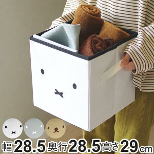 [{bNX [łXc[ ~btB[ z t^t  i [ {bNX Xc[ Ibg} {X miffy ֎q Xc[{bNX t ܂肽  [Xc