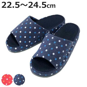 Xbp }`hbgRtH[g MTCY i [V[Y [Xbp ᔽ    OJ fB[X [T_ p  ɂ Lb` Ǝ 