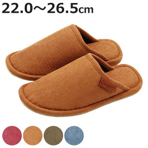 Xbp R[fC |GXe É݌v 22.0`26.5cm i R[fCXbp [ Ol É AJ [Xbp [V[Y Jt  K q  ʂ