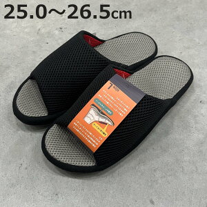 Xbp ANeBubV 25.0`26.5cm i [V[Y [Xbp bV ėp p  OJ O S Vv  T_ qp Ɩp  jy3980~ȏ㑗