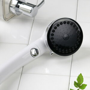 V[wbh ~XgV[ i WFbg ObY V[  oXObY 3iK ߐ 茳~ Vv jy3980~ȏ㑗z