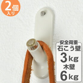 フック らくらく掛けフック ホワイト 石膏ボード用 木壁 両用 2個入り ピンタイプ （ ピンフック 石膏ボード 石膏 木壁 ベニヤ 壁 石膏ボード壁用 石こうボード ベニヤ壁 収納 用 強力 吊り下げ 壁掛け 鍵フック 強力フック ） 【3980円以上送料無料】