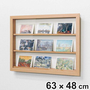 RNVP[X 62.9×47.9cm Ǌ| Jo[ J[h RC [ L408 i J[hP[X P[X AN {bNX fBXvC ۊ  ^Cv 63×48cm ^  ǖ [P[X [{