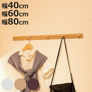 �Ǌ|�� �X���� ���[���t�b�N �� ��40�`80cm ���[�� �n���K�[�t�b�N �΍p�{�[�h�p �i �Ǌ|���p ���[ �t�b�N �n���K�[ �����|�� �΍p�{�[�h �x�j�� �΍p �ؕ� �� �p �݂艺�� ���� �m���|�� �E�H