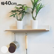 ラインシェルフ 飾り棚 フック付 幅40cm ディスプレイ棚 （ ウォールシェルフ 壁面ラック 棚 壁掛け 壁面…