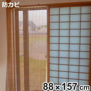  | 88×157cm hJrH i  TVF[h ډB Ԏd؂ | | | d؂ d hJr h XN[ X_  CeA VR| p[e[V a 