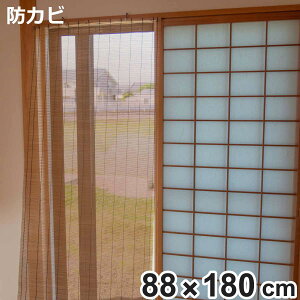  | 88×180cm hJrH i  TVF[h ډB Ԏd؂ | | | d؂ d hJr h XN[ X_  CeA VR| p[e[V a 