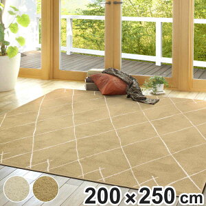 O 􂦂 VM[ 200×250cm xj zbgJ[ybgΉ i O~ }bg O}bg ` gΉ VM[O ANZgO g zbgJ[ybg Ή  􂦂郉