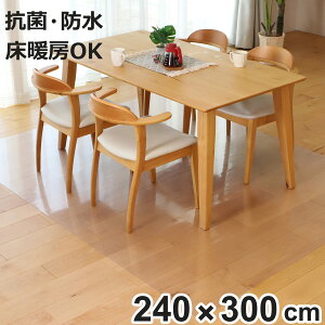 NA}bg }bg R 240×300cm _CjO}bg ܂肽 i }bg tA}bg  NA t[O}bg NAV[g ی}bg Rی Yɂ hH 