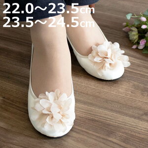 gуXbp  vG XC[g STCY MTCY LTCY i 22cm 22.5cm 23cm 23.5cm 24cm 24.5cm 25.cm fB[X ܂肽 gуV[Y Xbp  P[Xt AC{[ w Ǝ 