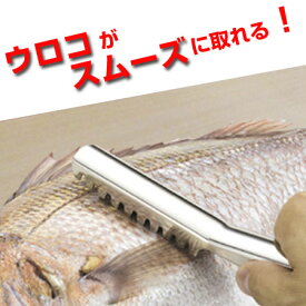 楽天市場 魚 うろこ取りの通販