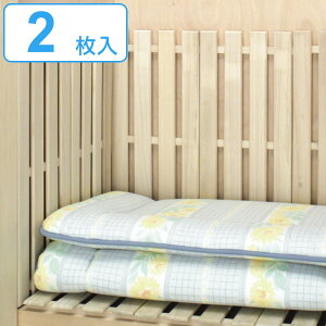 ̂ 2  pbg [ i  XmR [ Jr΍ C΍ ː ǖ   zc  ~ [ p̂ j y3980~ȏ㑗z