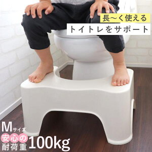 gC ݑ gCX[YXebv M gCݑ gCg q i qǂp Xebv ӂݑ u Xebv gCg[jO 񒣂 c qǂ LbY 21cm ֔