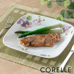 v[g 22.5cm XNGA R[ CORELLE oCIbg~Xg i H@Ή dqWΉ I[uΉ ϔM M M  M M ԕ lp y ɂ H pM C p