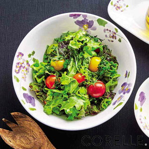 {E 21.5cm R[ CORELLE oCIbg~Xg i H@Ή dqWΉ I[uΉ ϔM T_{E    ԕ Eh  y ɂ H ێM pX^ J