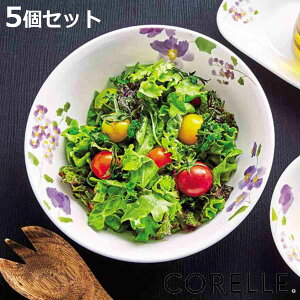 {E 21.5cm R[ CORELLE oCIbg~Xg 5Zbg i H@Ή dqWΉ I[uΉ ϔM T_{E    ԕ Eh  y ɂ H ێM p