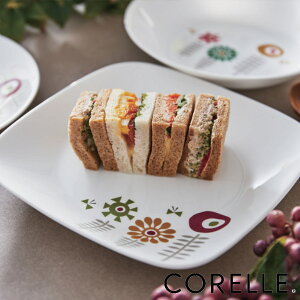 v[g 22.5cm XNGA CORELLE PCNbJ KX i H@Ή dqWΉ I[uΉ ϔM M M M M k  y ɂ H pM lp M v