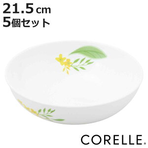 {E 21.5cm CORELLE R[ m[uCG[ KX 5Zbg i H@Ή dqWΉ I[uΉ    ₷ v ϕ T_  ԕ jy3980~ȏ㑗