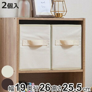 [P[X SPACE-KIT Ci[{bNX F2 c^n[t 19×s26×25.5cm i J[{bNX [ [{bNX   o cu t ܂肽 t 