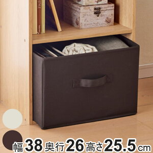 収納ケース SPACE-KIT インナーボックス 布 幅38×奥行26×高さ25.5cm ( カラーボックス 収納 収納ボックス 小物 小物入れ 引き出し 底板付き 折りたたみ 取っ手付き 小物収納 衣類 おもちゃ キッ