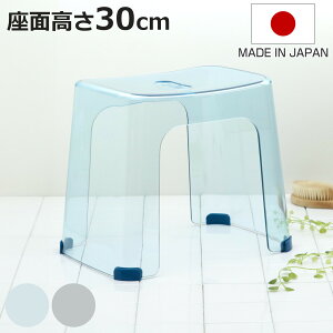 C֎q oXANA 30cm { i C NA oX`FA   ֎q ׂ~ ʍ30 ANAu[ CgO[ C oXObY jy3980~ȏ㑗z