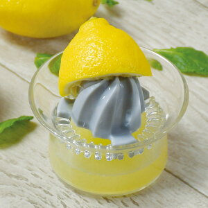 i et Simplice W[T[ i ڂ  i ڂ 蓮 t[c IW k Lb`pi Lb`c[ Lb`  ٓ 