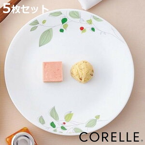 v[g 26cm R[ CORELLE  H M O[u[Y 5Zbg i H@Ή zCg dqWΉ M I[uΉ  M M v[g M M ێM Eh