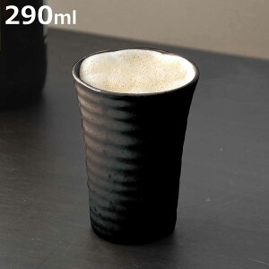 Rbv 290ml 퐻 r[Jbv i ^u[   Ē   bN ۉ ۗ rAJbv bNJbv t[Jbv r[  蕨 jy3980~ȏ㑗z