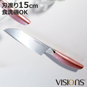 O 15cm VISIONS H@Ή i  \ Lb`iCt  I[XeX 15Z` Kтɂ ؂ꖡQ   ̌^ 炦pi sN 