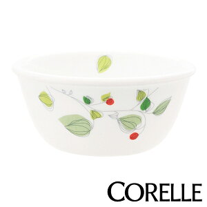 {E 16cm R[ CORELLE  H M O[u[Y i H@Ή zCg dqWΉ M I[uΉ  M [M M  M  ێM ی^ [t mH j y3980