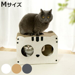 ybgnEX L ɂ񂸃nEX i ܌ ߂Ƃ Lp ܂ƂnEX _{[ tFg XgX V  킢 KK  nEX Q ˂ Lpi ybgpi 