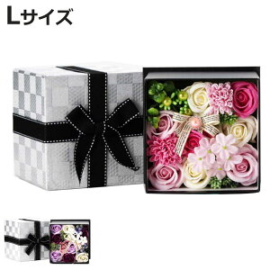  N[oXtL Ԃ̃J^`̓ Q-FLA i C  C bNX v[g  Mtg{bNX ΂̍ Mtg L oXObY oXpi  ϔ sN p[v j