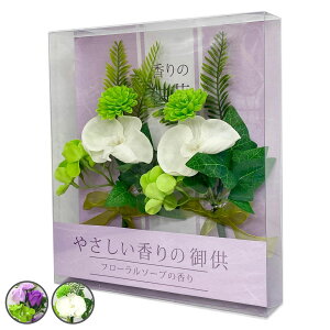  ₳̋ yA [Y Ӓ i     䋟 dp ͂Ȃ  AW t[ 蕨 Mtg  t jy3980~ȏ㑗z