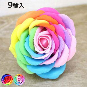 F C{[tOX  9֓ i KN o   tOX [tOX  t t[ Jt C{[ ̓ [Y  Ό̍ 