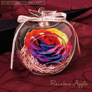 F IuWF C{[Abv  i KN o   tOX [tOX  t KXh[ t[ ̓ [Y Jt C{[  Ό̍