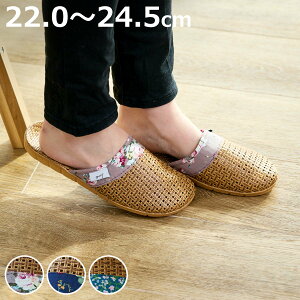 Xbp [^X 22.0`24.5cm AWA ԕ i ėp  bV  qp fB[X  [V[Y   ʋC GXjbN ][g   22.0`24.5cm j